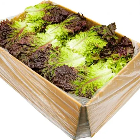 국내산 특품 꽃상추 한박스 2kg