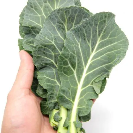 국내산  케일 반박스 1kg