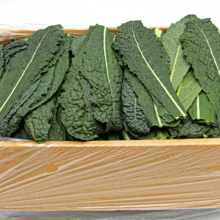 국내산 특품 뉴그린 한박스 2kg 이미지