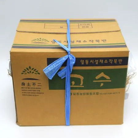 국내산 특품 고수 한박스 10단 이미지