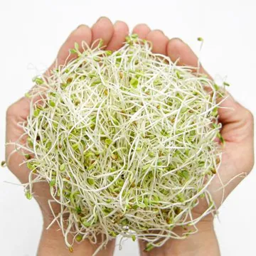 푸레아 국내산 크로바싹 반박스 500g