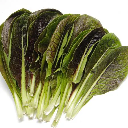 국내산 특품 치콘 반박스 1kg 이미지
