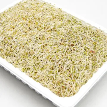 푸레아 국내산 알팔파싹 한박스 1kg