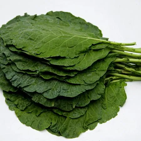 푸레아 국내산 즙용 케일 1kg 이미지