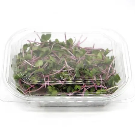 수경재배 무농약 홍무순 한박스 1kg