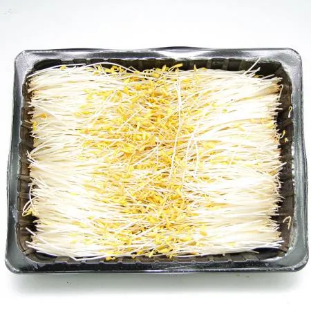 국내산 특품 황금메밀순 반박스 500g 이미지