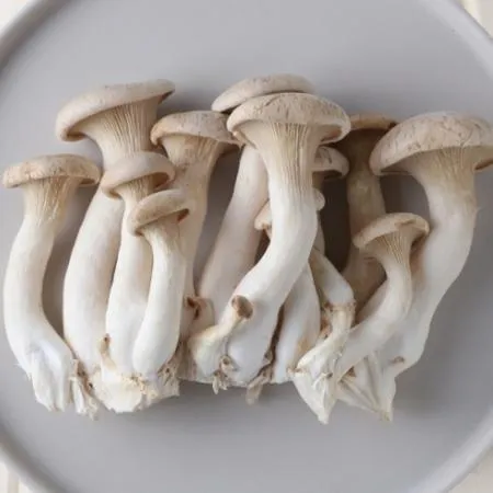 국내산 특품 머쉬마루버섯 500g 이미지