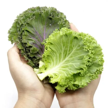 국내산 특품 로즈케일 한박스 1kg 이미지