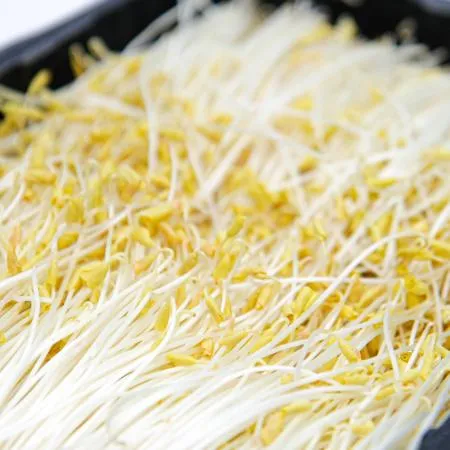 국내산 특품 황금메밀순 한박스 1kg 이미지