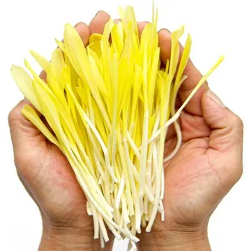 푸레아 국내산 옥수수순 콘숏 100g