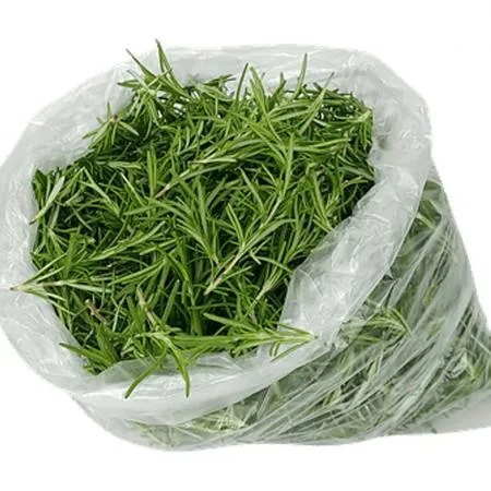 국내산 허브 로즈마리 생잎 반박스 500g 이미지