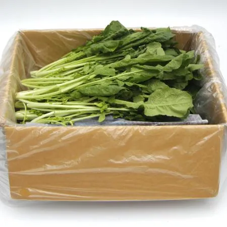 국내산 특품 로케트 루꼴라 한박스 1kg 이미지