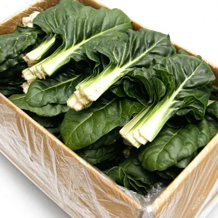 국내산 특품 근대 한박스 4kg