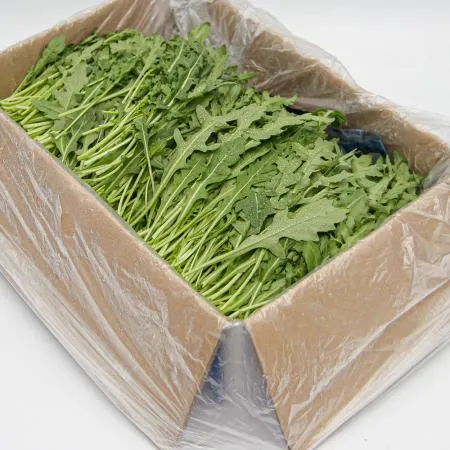 국내산 특품 와일드 루꼴라 한박스 1kg