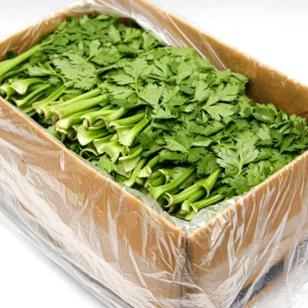 국내산 특품 쌈샐러리 한박스 2kg