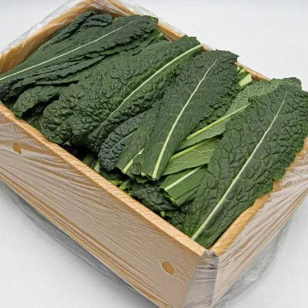 국내산 특품 뉴그린 한박스 2kg