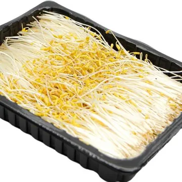 국내산 특품 황금메밀순 한박스 1kg