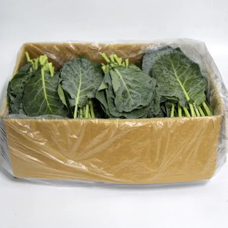 국내산  케일 한박스 2kg 이미지