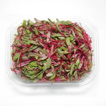 국내산 특품 비트순 반박스 500g