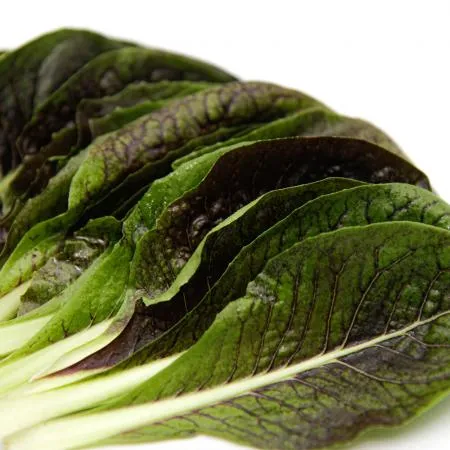 국내산 특품 치콘 반박스 1kg 이미지
