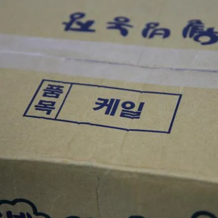 국내산  케일 한박스 2kg 이미지