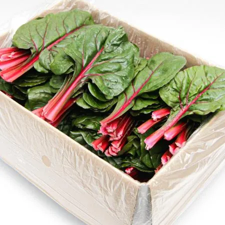 국내산 특품 적근대 한박스 2kg