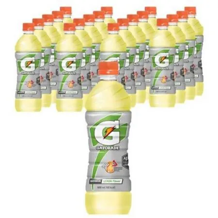 게토레이 펫600ml 20개