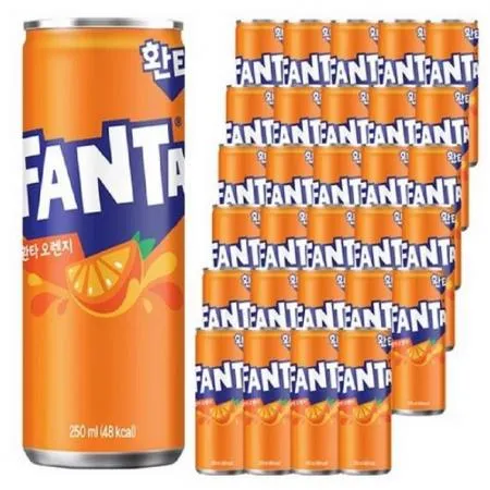 환타 오렌지 캔250ml 60개