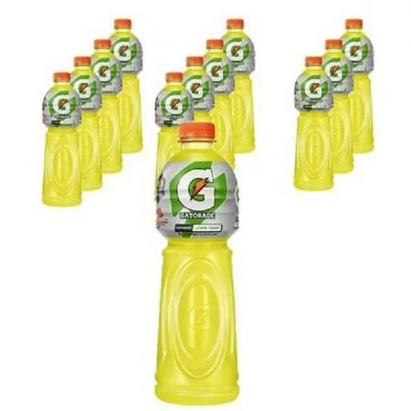 게토레이 펫1.5L 12개