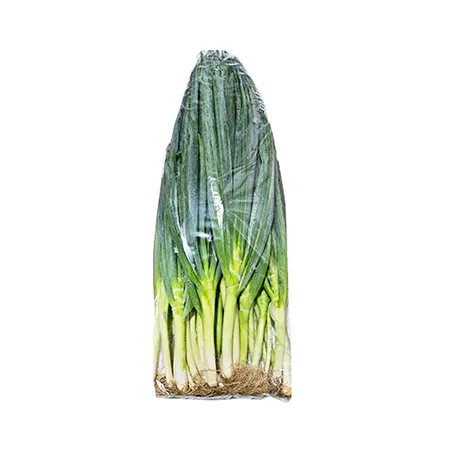 흙대파 (5Kg/EA)