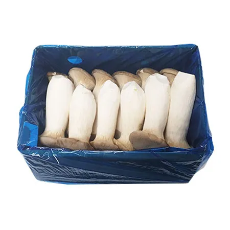 새송이버섯 2Kg/BOX