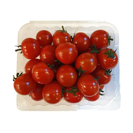 ★매일시장특가★ 방울토마토(15~20g내외/개 500g/EA) 초특가 과일 이미지