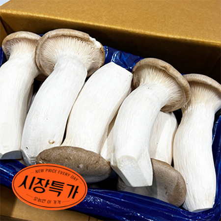 ★농산특가★새송이버섯(국산 2Kg/BOX) 송이버섯 버섯 초특가 채소 야채 국내산