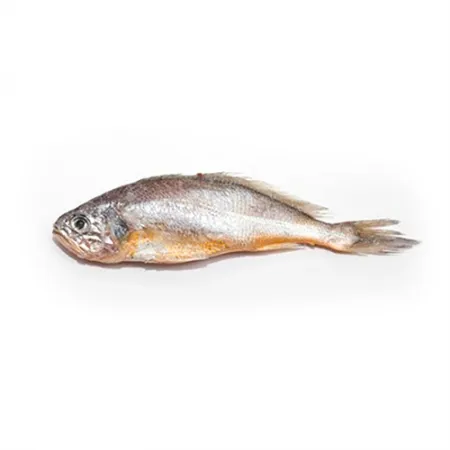 참조기(80~90g/마리 85g/EA)/중국산