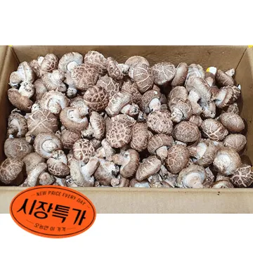 ★농산특가★ 표고버섯 1KG/BOX