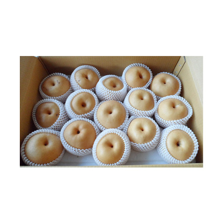 배(동부권용 31~35과내외 15Kg/BOX)/국내산
