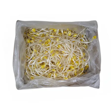 콩나물(세척_곱슬이_단채 반찬용 KG)