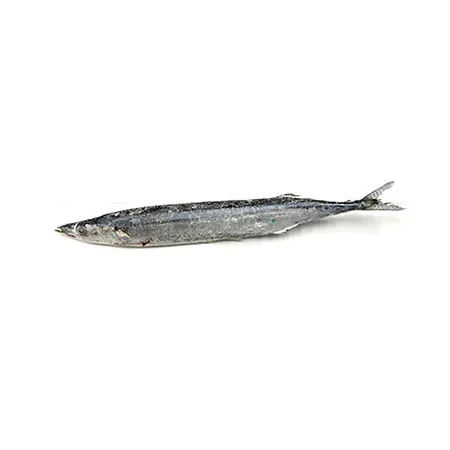 꽁치(100~110g 100g/EA)