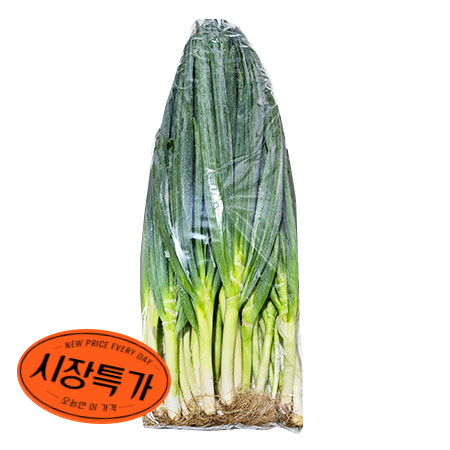 ★시장특가★흙대파 5Kg