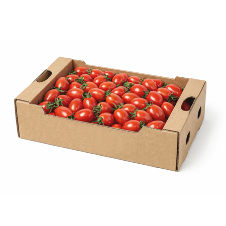 대추방울토마토(1~2번과 2Kg/BOX)/국내산