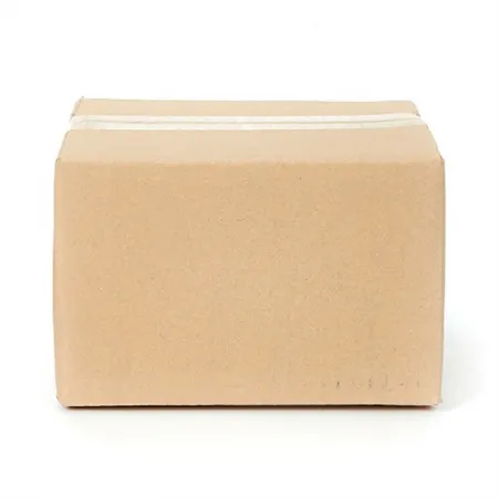 느타리버섯(상품 다발 KG)/국내산