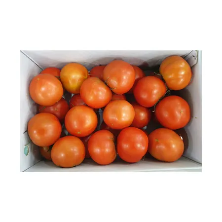 ★매일시장특가★ 토마토 (완숙_20~25과 5Kg/BOX)/국내산 초특가 과일 이미지