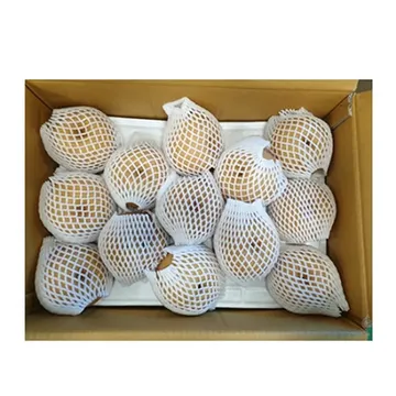 배(동부권용 20~25과 15Kg/BOX)/국내산