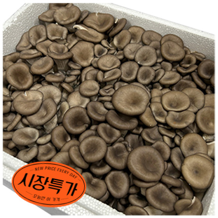 ★매일시장특가★ 느타리버섯( 상 2Kg/BOX) 초특가 야채 채소 버섯