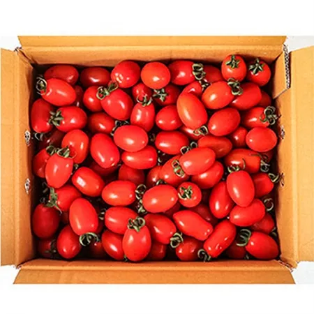 대추방울토마토(3번과 2Kg/BOX)/국내산