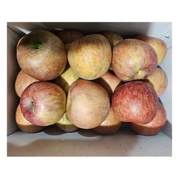 보조개사과(무선별 스크레치 4Kg/BOX)