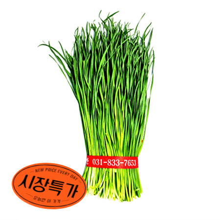 ★농산특가★부추( 상 500g/EA) 야채 농산 초특가