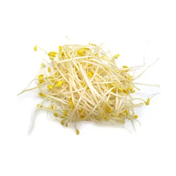 콩나물(세척_상 국용_반찬용 KG)