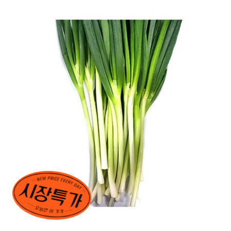 ★시장특가★깐대파( 상품 5Kg/EA) - 최저가 사업자 식자재 | 식봄