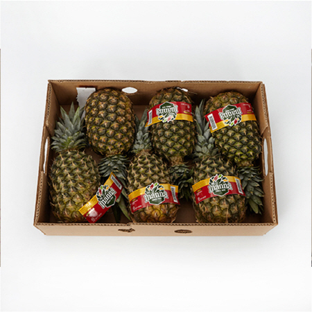 골드파인애플(6수 12Kg/BOX)/필리핀산